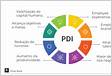 PDI 7 passos para criar o seu Plano de desenvolviment